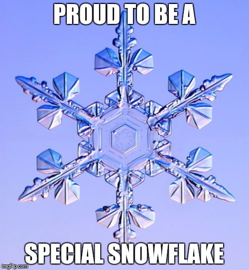Special snowflake | PROUD TO BE A; SPECIAL SNOWFLAKE | image tagged in special snowflake | made w/ Imgflip meme maker