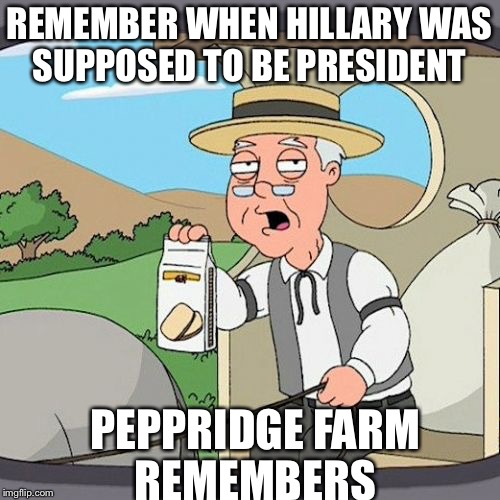 Pepperidge Farm Remembers | REMEMBER WHEN HILLARY WAS SUPPOSED TO BE PRESIDENT; PEPPRIDGE FARM REMEMBERS | image tagged in memes,pepperidge farm remembers | made w/ Imgflip meme maker