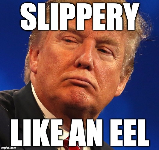 donald trump is slippery like an eel | SLIPPERY; LIKE AN EEL | image tagged in con man,con artist,potus45,trump,donald trump | made w/ Imgflip meme maker