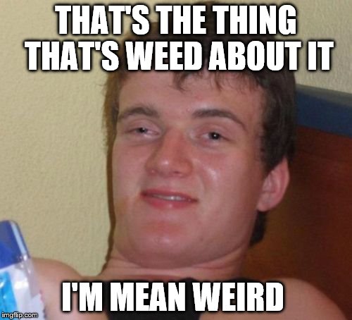 10 Guy | THAT'S THE THING THAT'S WEED ABOUT IT; I'M MEAN WEIRD | image tagged in memes,10 guy | made w/ Imgflip meme maker