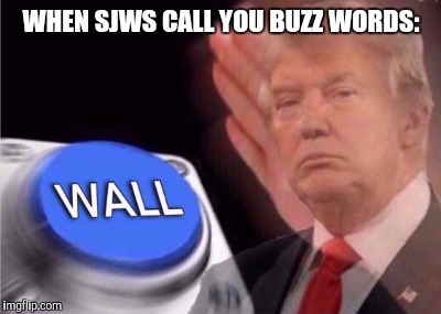 Trump wall button  | WHEN SJWS CALL YOU BUZZ WORDS: | image tagged in trump wall button | made w/ Imgflip meme maker