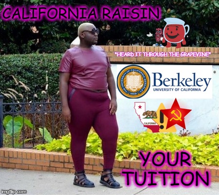 Off To College  | CALIFORNIA RAISIN; "HEARD IT THROUGH THE GRAPEVINE"; YOUR TUITION | image tagged in california raisins,uc berkeley,kool kid klan,college tuition | made w/ Imgflip meme maker