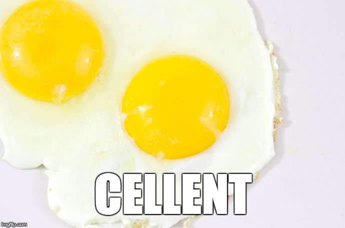 CELLENT | image tagged in think about it | made w/ Imgflip meme maker