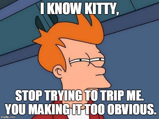 Futurama Fry Meme | I KNOW KITTY, STOP TRYING TO TRIP ME. YOU MAKING IT TOO OBVIOUS. | image tagged in memes,futurama fry | made w/ Imgflip meme maker