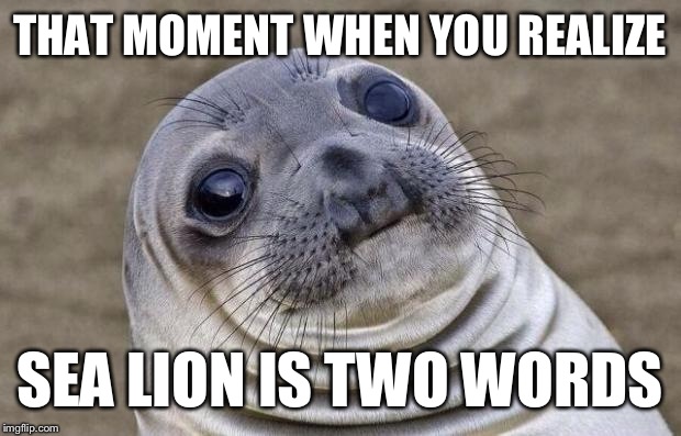 It's not Sealion, it's Sea lion | THAT MOMENT WHEN YOU REALIZE; SEA LION IS TWO WORDS | image tagged in memes,awkward moment sealion | made w/ Imgflip meme maker