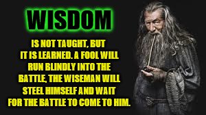 WISDOM; IS NOT TAUGHT, BUT IT IS LEARNED. A FOOL WILL RUN BLINDLY INTO THE BATTLE, THE WISEMAN WILL STEEL HIMSELF AND WAIT FOR THE BATTLE TO COME TO HIM. | image tagged in gandalf,wisdom | made w/ Imgflip meme maker