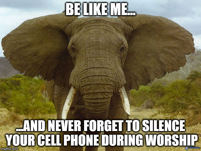 BE LIKE ME... ...AND NEVER FORGET TO SILENCE YOUR CELL PHONE DURING WORSHIP | image tagged in elephant_cell | made w/ Imgflip meme maker