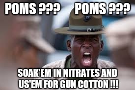 Angry Gunny Sgt | POMS ???      POMS ??? SOAK'EM IN NITRATES AND US'EM FOR GUN COTTON !!! | image tagged in angry gunny sgt | made w/ Imgflip meme maker