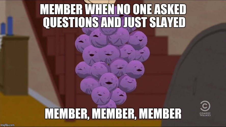 Member Berries Meme | MEMBER WHEN NO ONE ASKED QUESTIONS AND JUST SLAYED; MEMBER, MEMBER, MEMBER | image tagged in memes,member berries | made w/ Imgflip meme maker