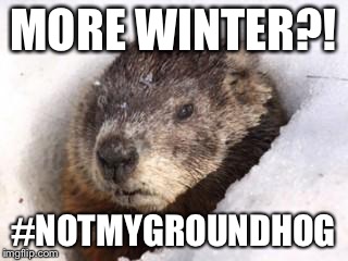 groundhog in snow | MORE WINTER?! #NOTMYGROUNDHOG | image tagged in groundhog in snow | made w/ Imgflip meme maker