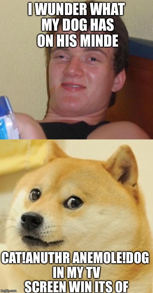 ITS A DOG!!!!!!!!!!!!!!!!!!!!!!!!!!!!!!!!!!!!!!!!!!!!!!!!!!!!!!!!!!!!!!!!!!!!!!!!!!!!!!!!!!!!!!!!!!!!!!!!!!!!!!!!!!!!!!!!!!!!!!! | I WUNDER WHAT MY DOG HAS ON HIS MINDE; CAT!ANUTHR ANEMOLE!DOG IN MY TV SCREEN WIN ITS OF | image tagged in funny memes,dog | made w/ Imgflip meme maker