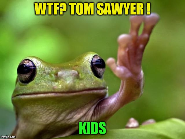 WTF? TOM SAWYER ! KIDS | made w/ Imgflip meme maker