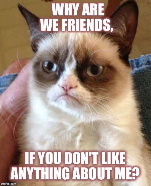 Grumpy Cat Meme | WHY ARE WE FRIENDS, IF YOU DON'T LIKE ANYTHING ABOUT ME? | image tagged in memes,grumpy cat | made w/ Imgflip meme maker