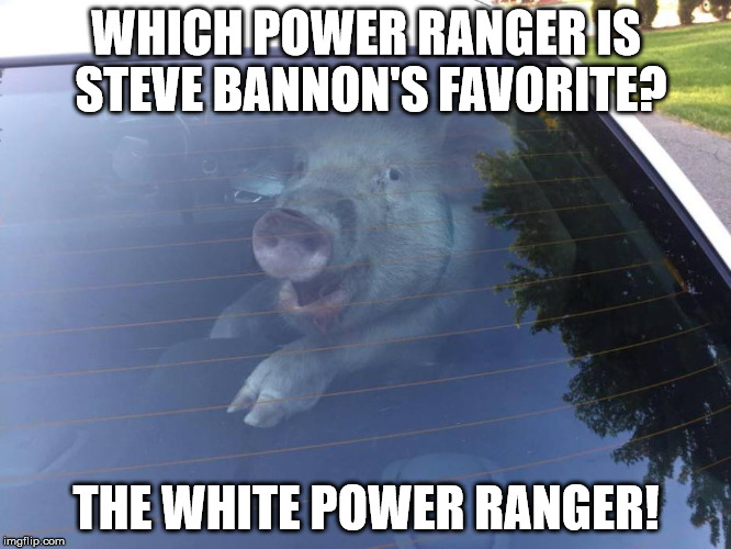 WHICH POWER RANGER IS STEVE BANNON'S FAVORITE? THE WHITE POWER RANGER! | image tagged in happy pig | made w/ Imgflip meme maker