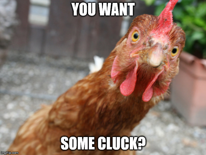 want sum cluck? | YOU WANT; SOME CLUCK? | image tagged in birds,meme,motherclucker | made w/ Imgflip meme maker