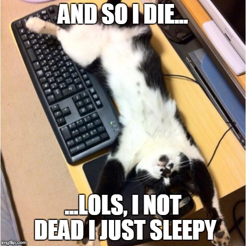 Dead Cat | AND SO I DIE... ...LOLS, I NOT DEAD I JUST SLEEPY | image tagged in lolcats | made w/ Imgflip meme maker