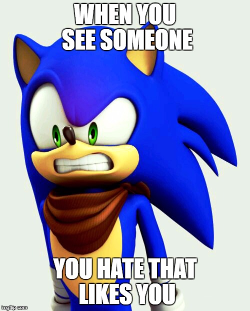 WHEN YOU SEE SOMEONE; YOU HATE THAT LIKES YOU | image tagged in sonicboom | made w/ Imgflip meme maker