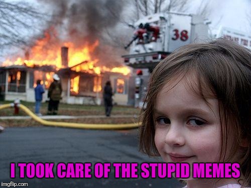 Disaster Girl | I TOOK CARE OF THE STUPID MEMES | image tagged in memes,disaster girl | made w/ Imgflip meme maker