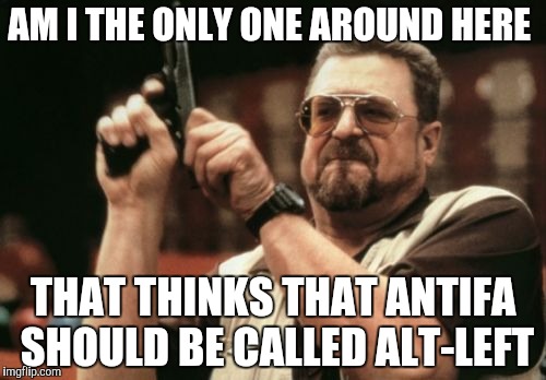 Am I The Only One Around Here Meme | AM I THE ONLY ONE AROUND HERE; THAT THINKS THAT ANTIFA SHOULD BE CALLED ALT-LEFT | image tagged in memes,am i the only one around here | made w/ Imgflip meme maker