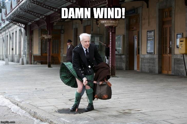 Damn Wind | DAMN WIND! | image tagged in windy | made w/ Imgflip meme maker