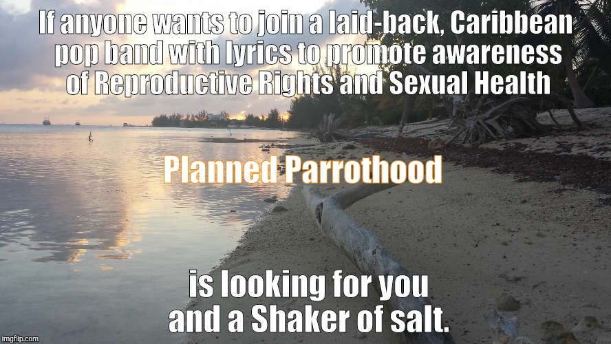 If anyone wants to join a laid-back, Caribbean pop band with lyrics to promote awareness of Reproductive Rights and Sexual Health; is looking for you and a Shaker of salt. Planned Parrothood | image tagged in island | made w/ Imgflip meme maker