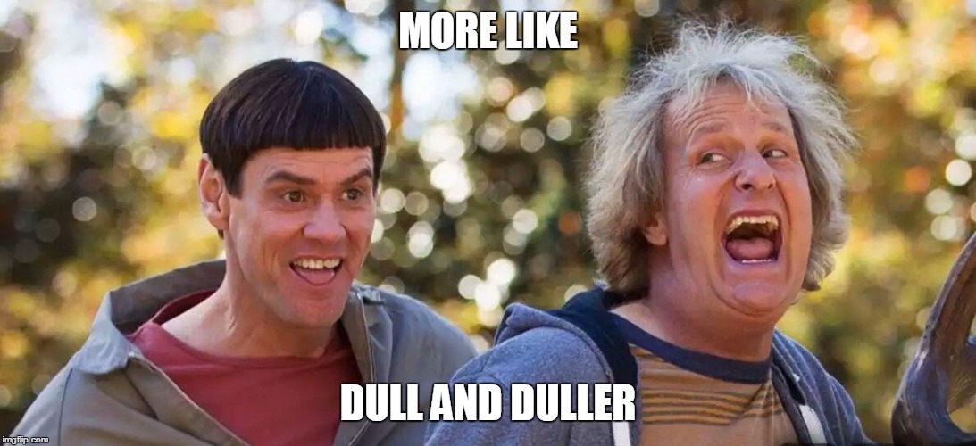 Dumb and Dumber laughing  | MORE LIKE; DULL AND DULLER | image tagged in dumb and dumber laughing | made w/ Imgflip meme maker