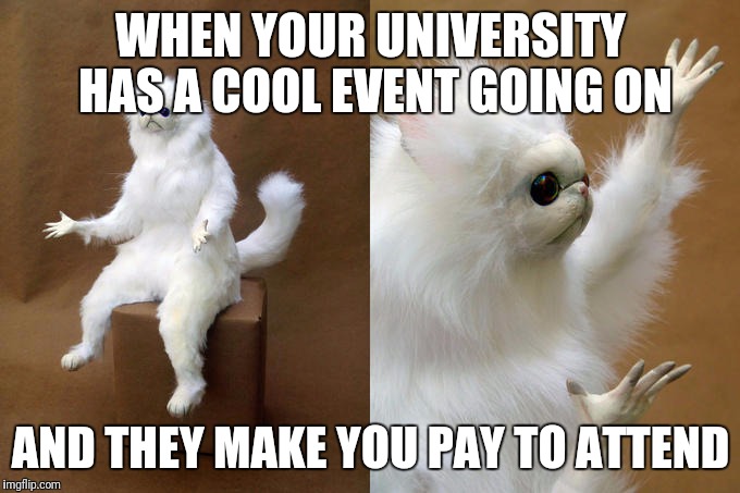 White Cat What 2 | WHEN YOUR UNIVERSITY HAS A COOL EVENT GOING ON; AND THEY MAKE YOU PAY TO ATTEND | image tagged in white cat what 2 | made w/ Imgflip meme maker