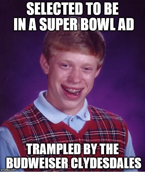 Bad Luck Brian | SELECTED TO BE IN A SUPER BOWL AD; TRAMPLED BY THE BUDWEISER CLYDESDALES | image tagged in memes,bad luck brian | made w/ Imgflip meme maker