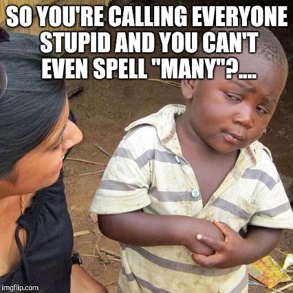 Third World Skeptical Kid Meme | SO YOU'RE CALLING EVERYONE STUPID AND YOU CAN'T EVEN SPELL "MANY"?.... | image tagged in memes,third world skeptical kid | made w/ Imgflip meme maker