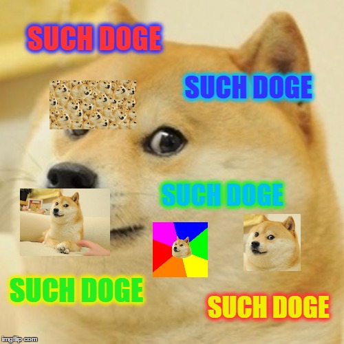 Doge Meme | SUCH DOGE; SUCH DOGE; SUCH DOGE; SUCH DOGE; SUCH DOGE | image tagged in memes,doge | made w/ Imgflip meme maker