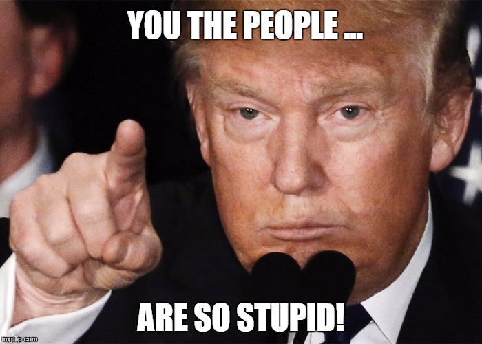 You The People by We The People | YOU THE PEOPLE ... ARE SO STUPID! | image tagged in we the people,stupid,ignorant,fools | made w/ Imgflip meme maker