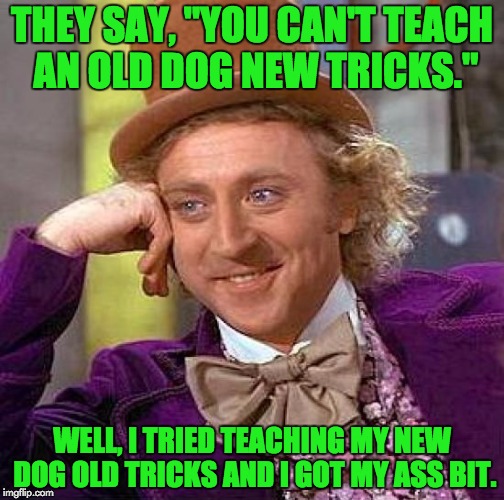 This is what happens when you try reasoning with a liberal | THEY SAY, "YOU CAN'T TEACH AN OLD DOG NEW TRICKS."; WELL, I TRIED TEACHING MY NEW DOG OLD TRICKS AND I GOT MY ASS BIT. | image tagged in memes,creepy condescending wonka | made w/ Imgflip meme maker