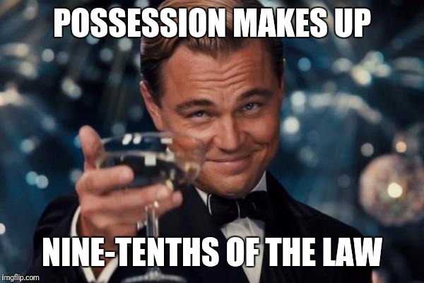 POSSESSION MAKES UP NINE-TENTHS OF THE LAW | image tagged in memes,leonardo dicaprio cheers | made w/ Imgflip meme maker