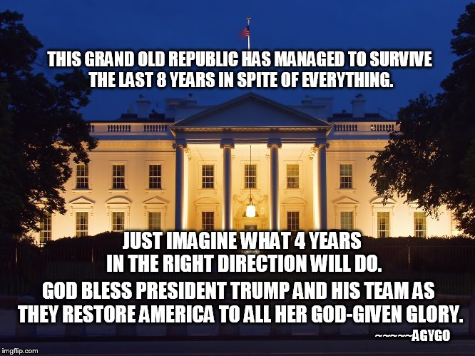 THE GRAND OLD REPUBLIC | THIS GRAND OLD REPUBLIC HAS MANAGED TO SURVIVE THE LAST 8 YEARS IN SPITE OF EVERYTHING. JUST IMAGINE WHAT 4 YEARS IN THE RIGHT DIRECTION WILL DO. GOD BLESS PRESIDENT TRUMP AND HIS TEAM AS THEY RESTORE AMERICA TO ALL HER GOD-GIVEN GLORY. ~~~~~AGYGO | image tagged in memes,survival,restore america | made w/ Imgflip meme maker