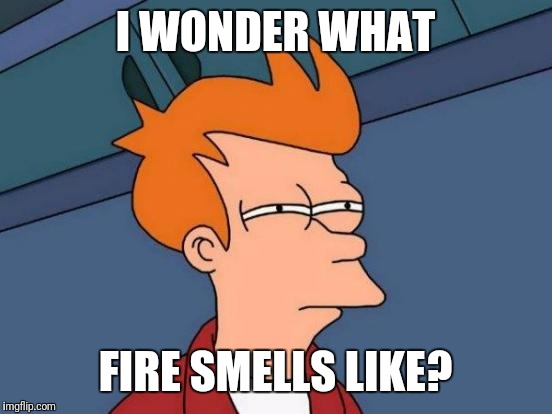 I WONDER WHAT FIRE SMELLS LIKE? | image tagged in memes,futurama fry | made w/ Imgflip meme maker