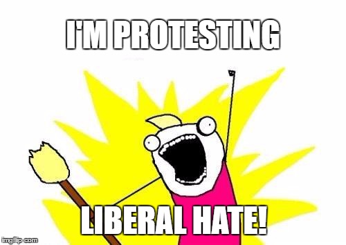 lefty radical libs have got to go! | I'M PROTESTING; LIBERAL HATE! | image tagged in memes,x all the y | made w/ Imgflip meme maker