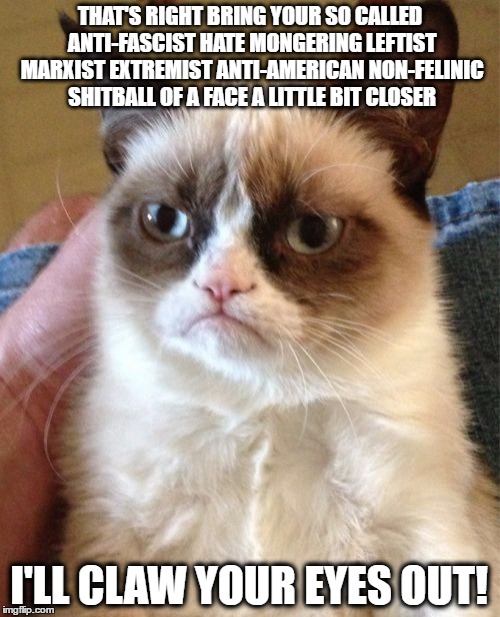 Grumpy Cat Hates Leftist Flag-Burning Commies | THAT'S RIGHT BRING YOUR SO CALLED ANTI-FASCIST HATE MONGERING LEFTIST MARXIST EXTREMIST ANTI-AMERICAN NON-FELINIC SHITBALL OF A FACE A LITTLE BIT CLOSER; I'LL CLAW YOUR EYES OUT! | image tagged in memes,grumpy cat | made w/ Imgflip meme maker