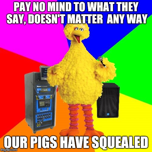 Big Bird sings The Gogo's | PAY NO MIND TO WHAT THEY SAY, DOESN'T MATTER  ANY WAY; OUR PIGS HAVE SQUEALED | image tagged in wrong lyrics karaoke big bird,1980s,80s music,funny memes | made w/ Imgflip meme maker
