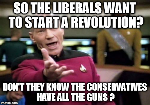 Picard Wtf | SO THE LIBERALS WANT TO START A REVOLUTION? DON'T THEY KNOW THE CONSERVATIVES HAVE ALL THE GUNS ? | image tagged in memes,picard wtf | made w/ Imgflip meme maker