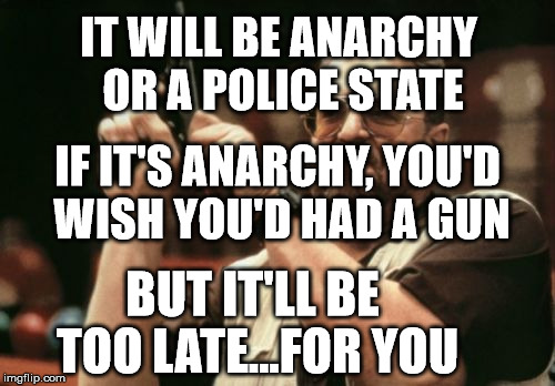 Am I The Only One Around Here | IT WILL BE ANARCHY OR A POLICE STATE; IF IT'S ANARCHY, YOU'D WISH YOU'D HAD A GUN; BUT IT'LL BE TOO LATE...FOR YOU | image tagged in memes,am i the only one around here | made w/ Imgflip meme maker