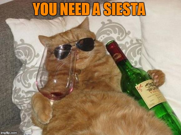 YOU NEED A SIESTA | made w/ Imgflip meme maker