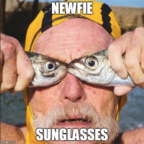 NEWFIE; SUNGLASSES | image tagged in newfie,newfoundland | made w/ Imgflip meme maker