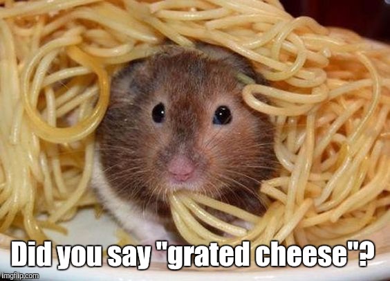 Spaghetti | Did you say "grated cheese"? | image tagged in spaghetti | made w/ Imgflip meme maker