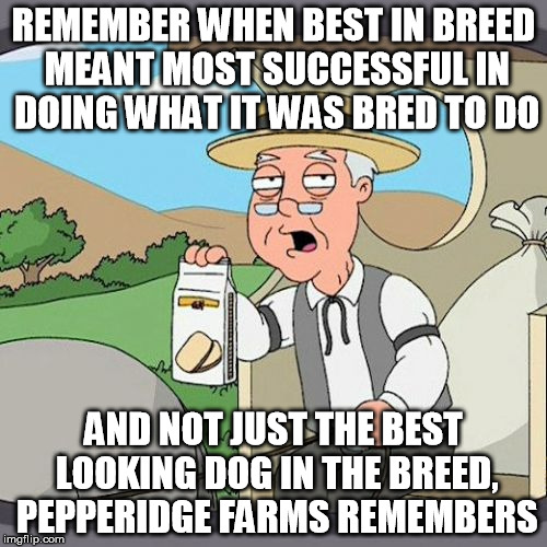 To many people get good looking animals but never satisfy the beast within. | REMEMBER WHEN BEST IN BREED MEANT MOST SUCCESSFUL IN DOING WHAT IT WAS BRED TO DO; AND NOT JUST THE BEST LOOKING DOG IN THE BREED, PEPPERIDGE FARMS REMEMBERS | image tagged in pepperidge farms remembers | made w/ Imgflip meme maker