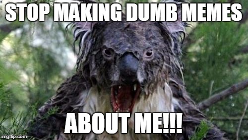 Angry Koala Meme | STOP MAKING DUMB MEMES; ABOUT ME!!! | image tagged in memes,angry koala | made w/ Imgflip meme maker