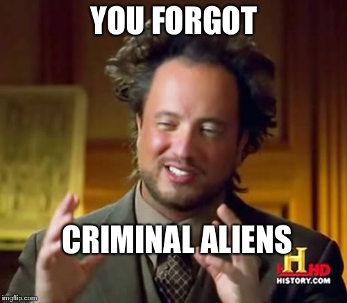 Ancient Aliens Meme | YOU FORGOT CRIMINAL ALIENS | image tagged in memes,ancient aliens | made w/ Imgflip meme maker