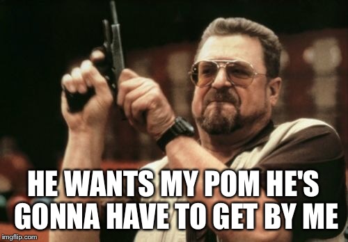 Am I The Only One Around Here Meme | HE WANTS MY POM HE'S GONNA HAVE TO GET BY ME | image tagged in memes,am i the only one around here | made w/ Imgflip meme maker