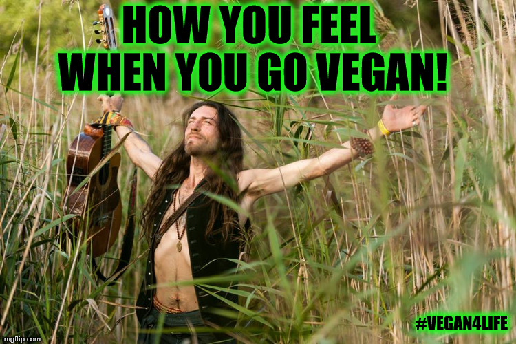 True story  | HOW YOU FEEL WHEN YOU GO VEGAN! #VEGAN4LIFE | image tagged in memes,funny memes,vegan4life,how you feel | made w/ Imgflip meme maker