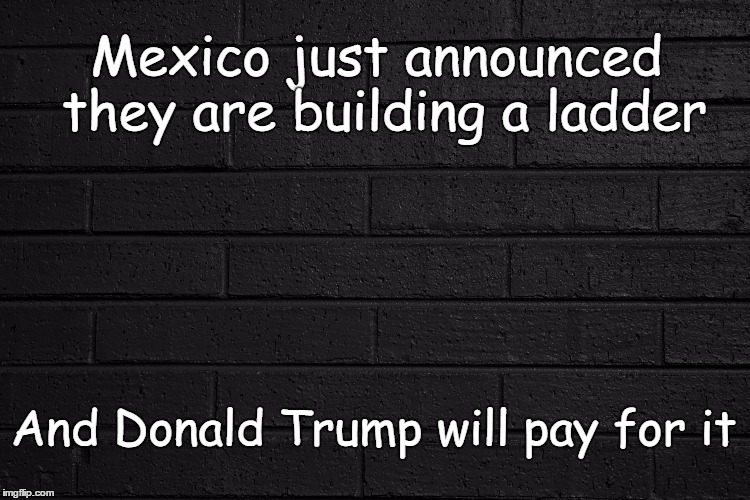 My Ladder Trumps Your Wall | Mexico just announced they are building a ladder; And Donald Trump will pay for it | image tagged in trump wall,mexico,ladder to the sky | made w/ Imgflip meme maker