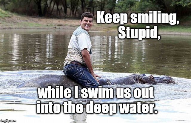 Cats and dogs? Of course. Horses? Sure. Cows or goats? They're livestock, actually, but okay. A hippo? You're out of your mind! | Keep smiling, Stupid, while I swim us out into the deep water. | image tagged in hippopotamus,i want a hippopotamus,deep water,smile stupid | made w/ Imgflip meme maker